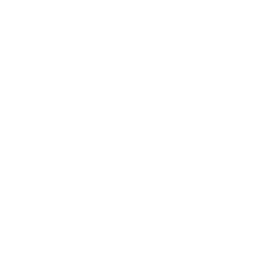 Pure Titanium